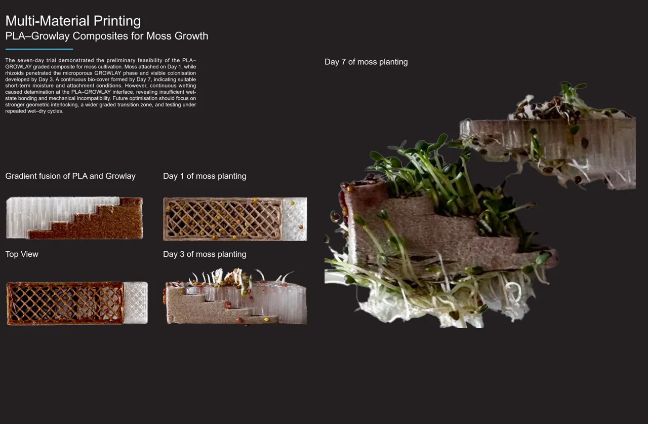 PLA 与 Growlay 复合样本的七天种植记录。 / Seven-day planting record for the PLA and Growlay composite samples.