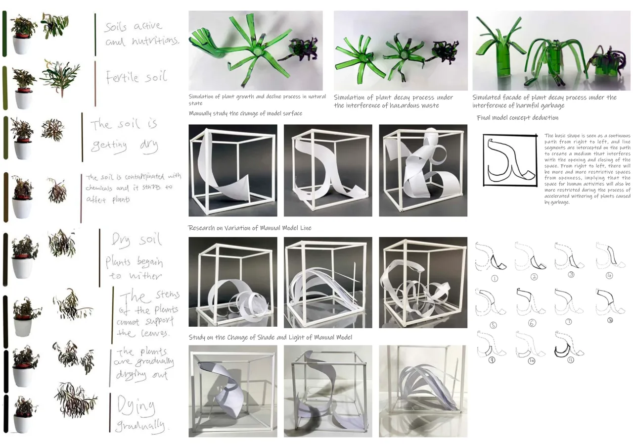 Damage:植物形态、空间限制与光影的研究记录。 / Damage: studies of plant form, spatial restriction and light.